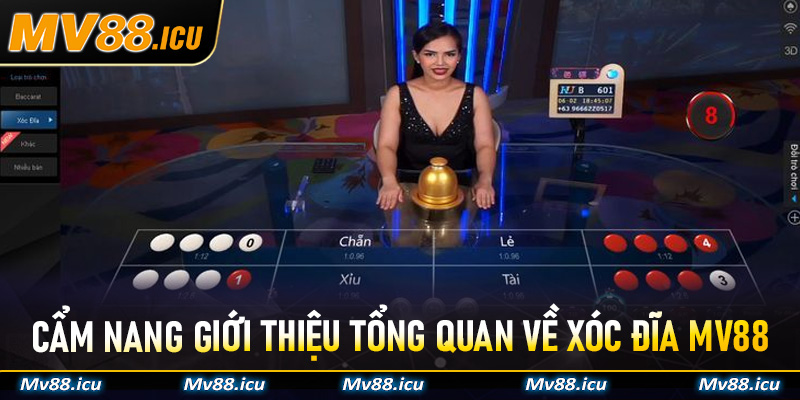 Cẩm nang giới thiệu tổng quan về Xóc Đĩa Mv88