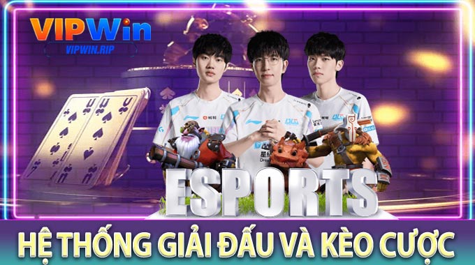 Hệ thống giải đấu và kèo cược 
