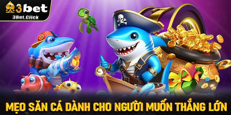 Mẹo Săn Cá Dành Cho Người Muốn Thắng Lớn