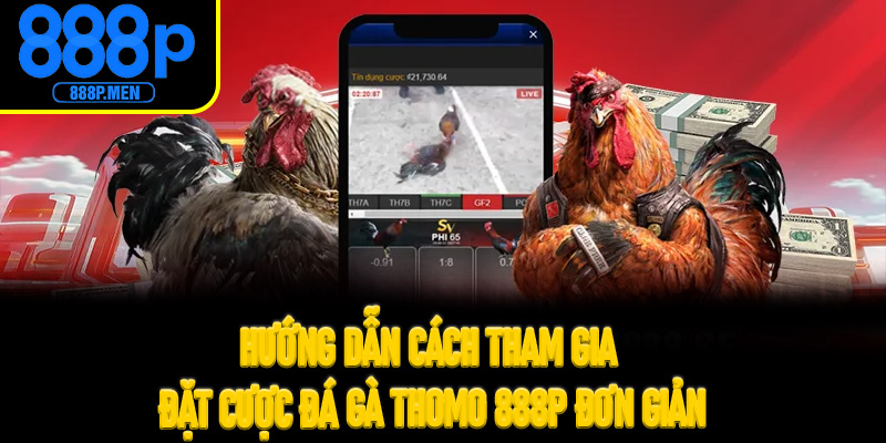 Hướng dẫn cách tham gia đặt cược đá gà Thomo 888P đơn giản