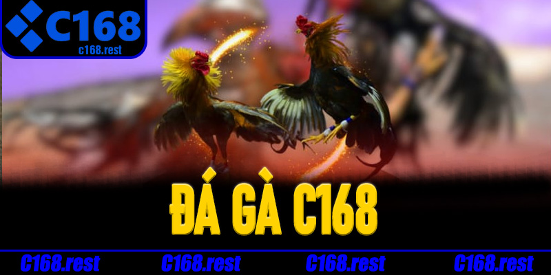 Đá Gà C168
