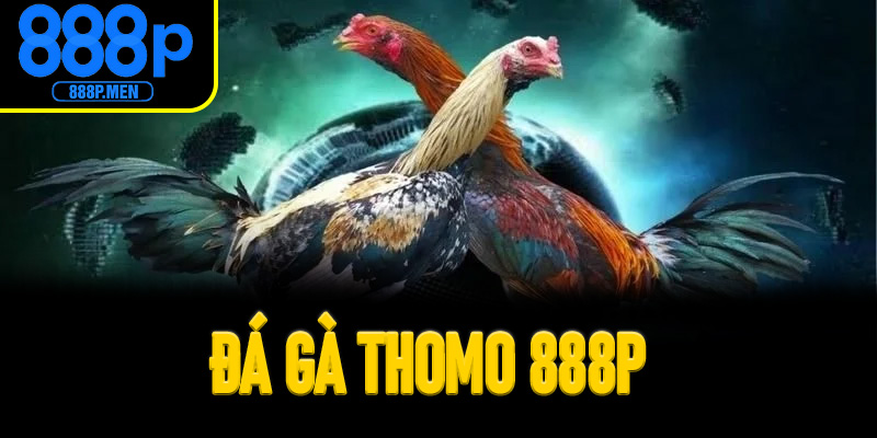 Đá gà Thomo 888P
